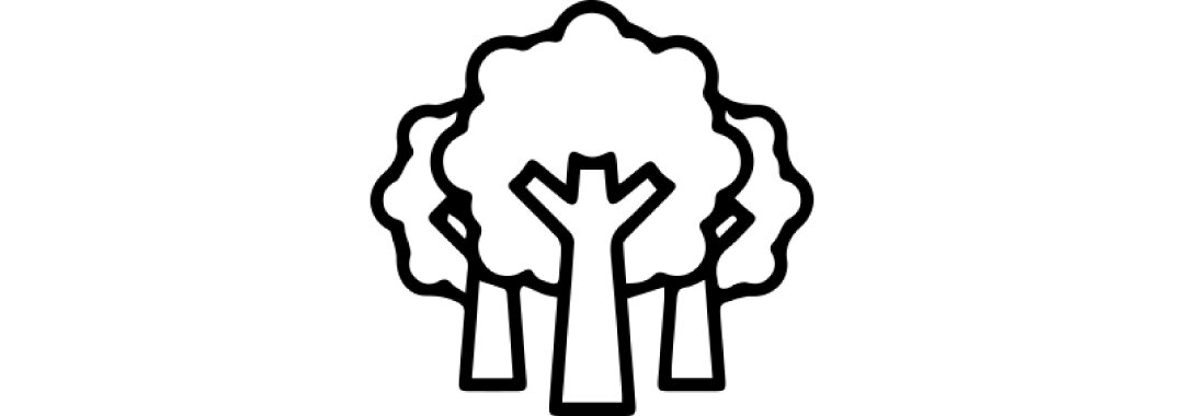 2 icona alberi 2