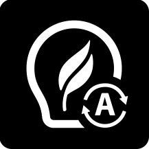 auto standby