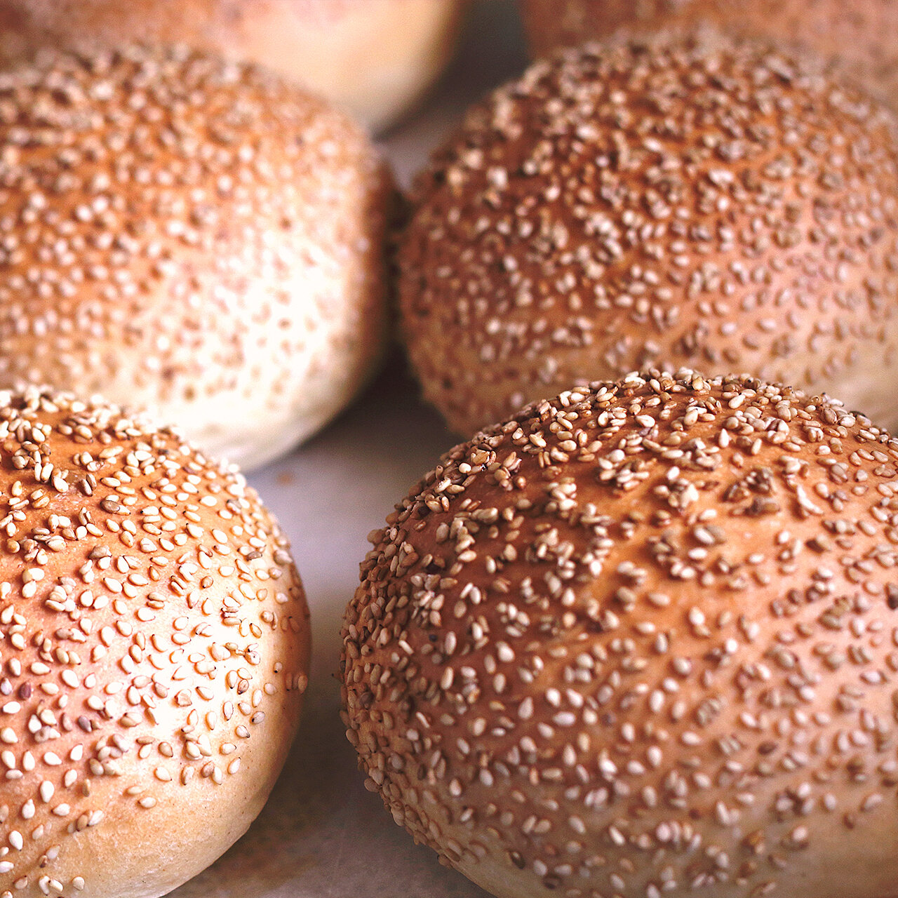buns serieS
