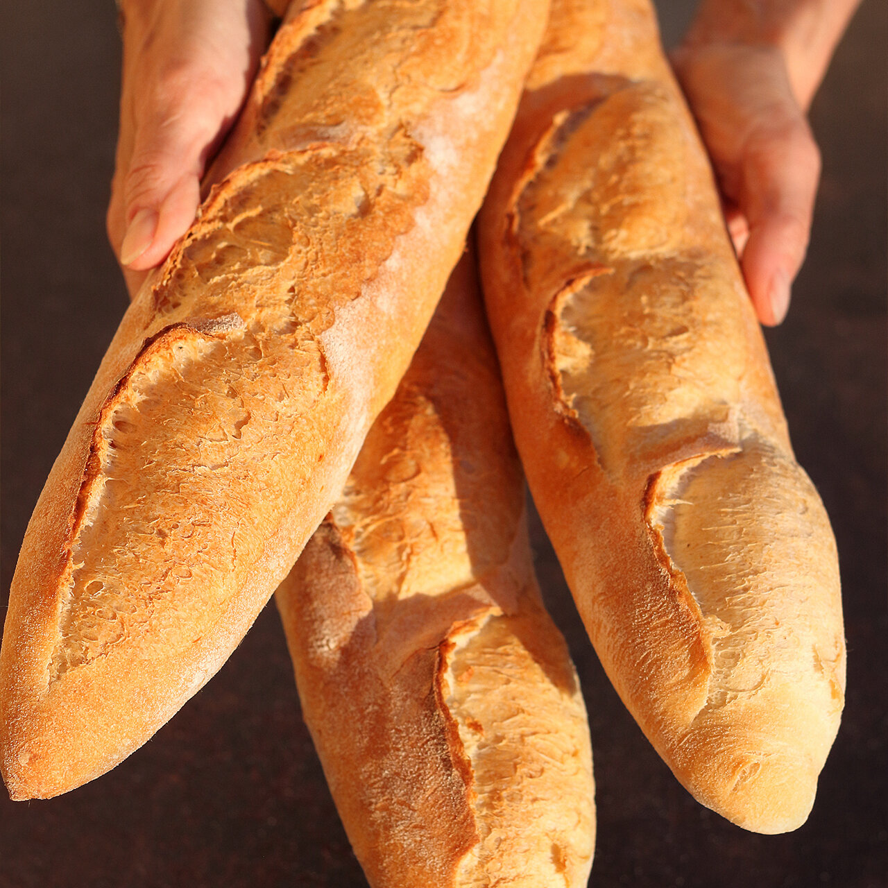 baguette serieS