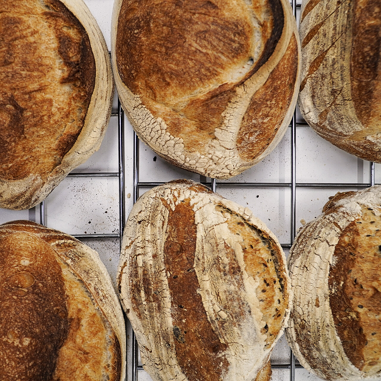 pane 700g serieS